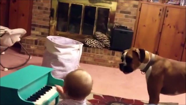 Duo le plus adorable : le bébé au piano et le chien au chant!