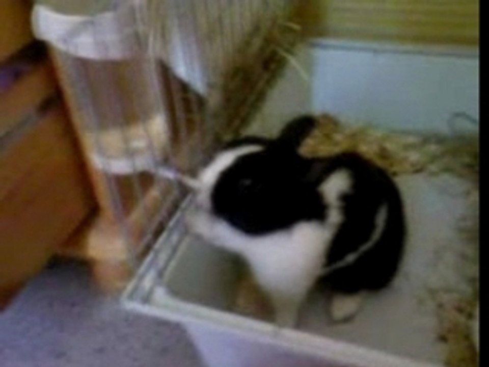 Toy qui boit :)