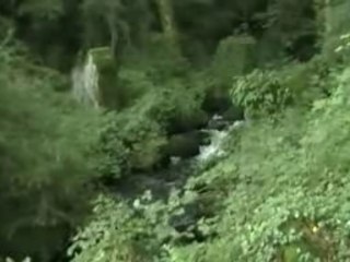Les Gorges du Narvau à Lormes