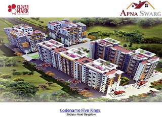 Codename Five Rings Contact Us- 8147203771