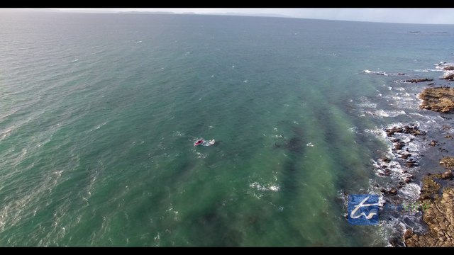 Ce kayakiste est entouré d'orques! Moment magique