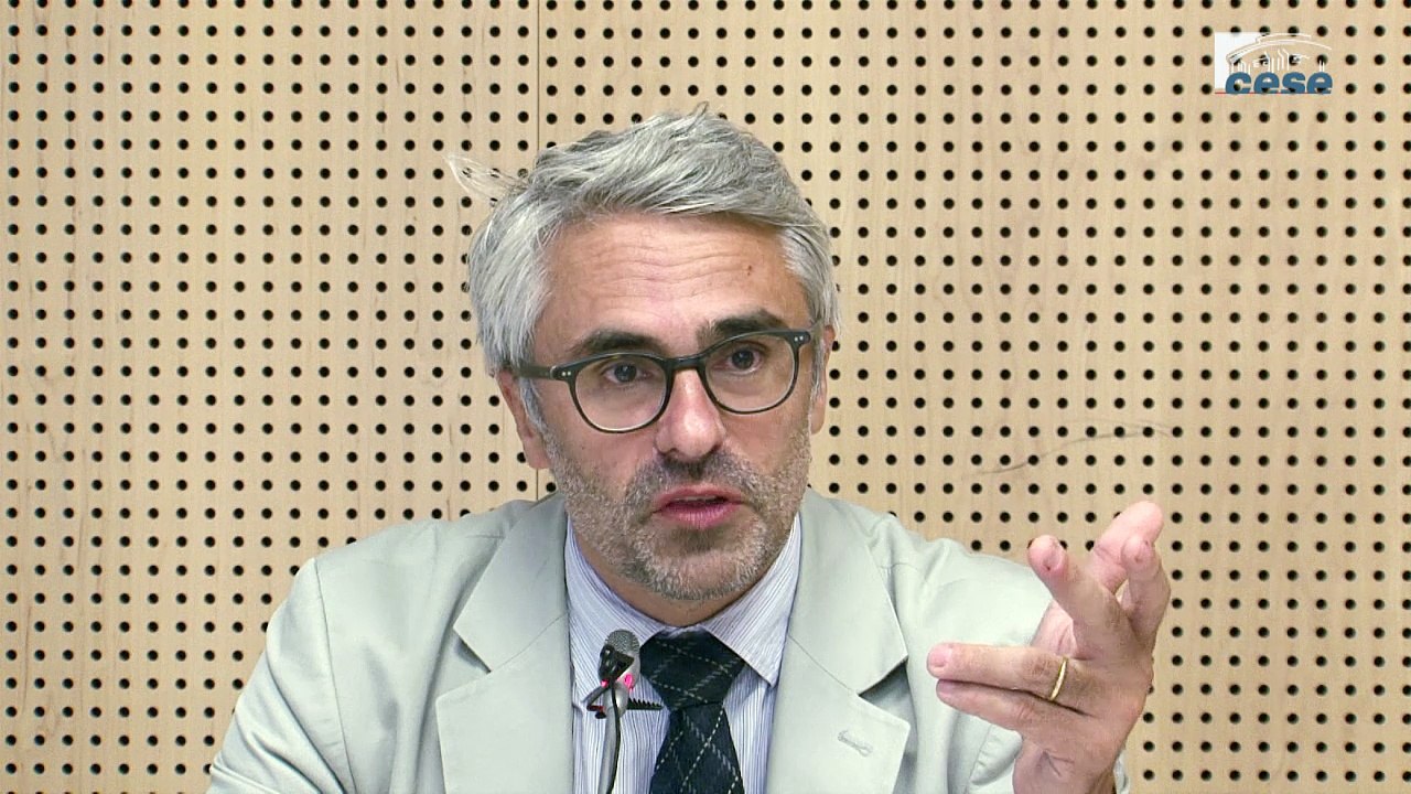 Audition de Pascal SAINT-AMANS (OCDE) - Evitement fiscal - cese