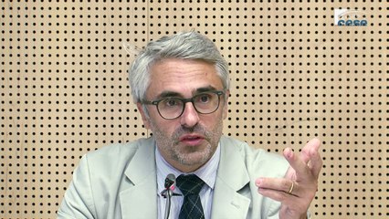 Audition de Pascal SAINT-AMANS (OCDE) - Evitement fiscal - cese