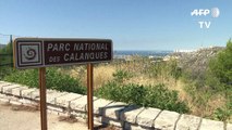 Marseille: 390 hectares brûlés dans le Parc des calanques