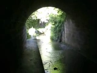 Trésors cachés à Auxerre