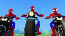 Spiderman Superheores riding their Bikes - Kids video with Incy Wincy Spider Nursery Rhyme Song