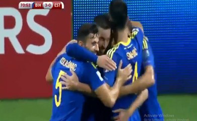 Haris Medunjanin Increadible Goal