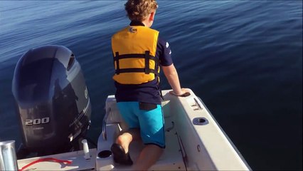 Tubarão branco surpreende pai e filho enquanto pescavam num pequeno barco