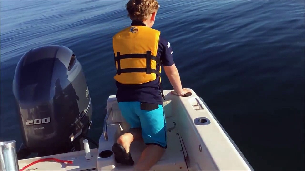 Tubarão branco surpreende pai e filho enquanto pescavam num pequeno barco