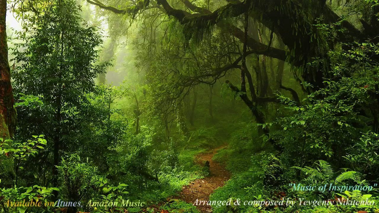 "Music of Inspiration" from new album "Fantasy" 2016!