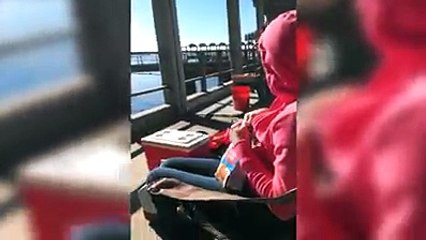 Bold Seagull Steals Chips