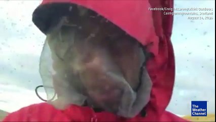 This Will Make Your Skin Crawl