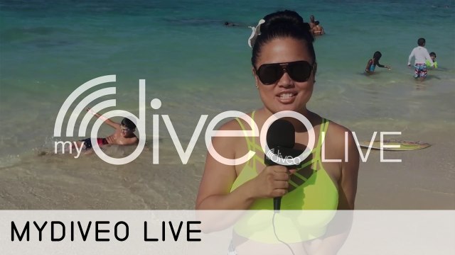mydiveo LIVE! Surfs Over to Island of Hawaii - mydiveo LIVE! on Myx TV