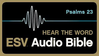 (ESV) Audio Bible - Psalms, Ch. 23