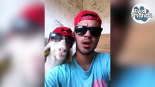 Avez-vous déjà vu une brebis gangster?