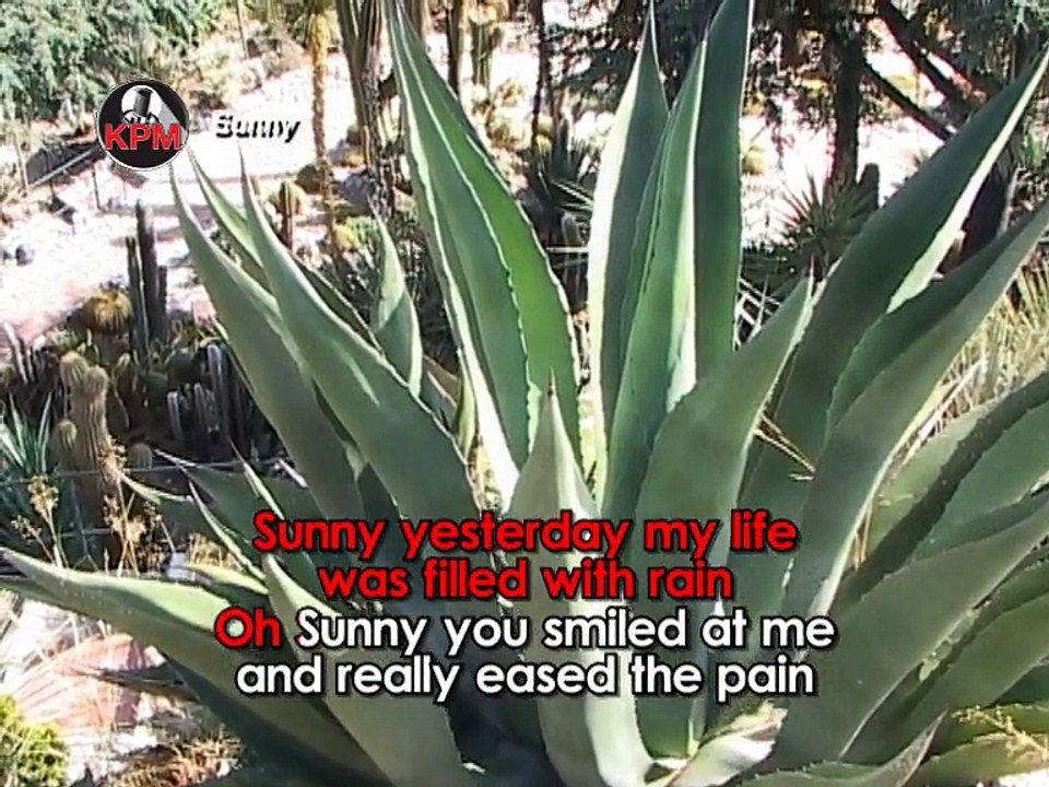 Sunny Karaoké - Christophe Willem*