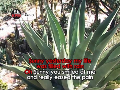 Sunny Karaoké - Christophe Willem*