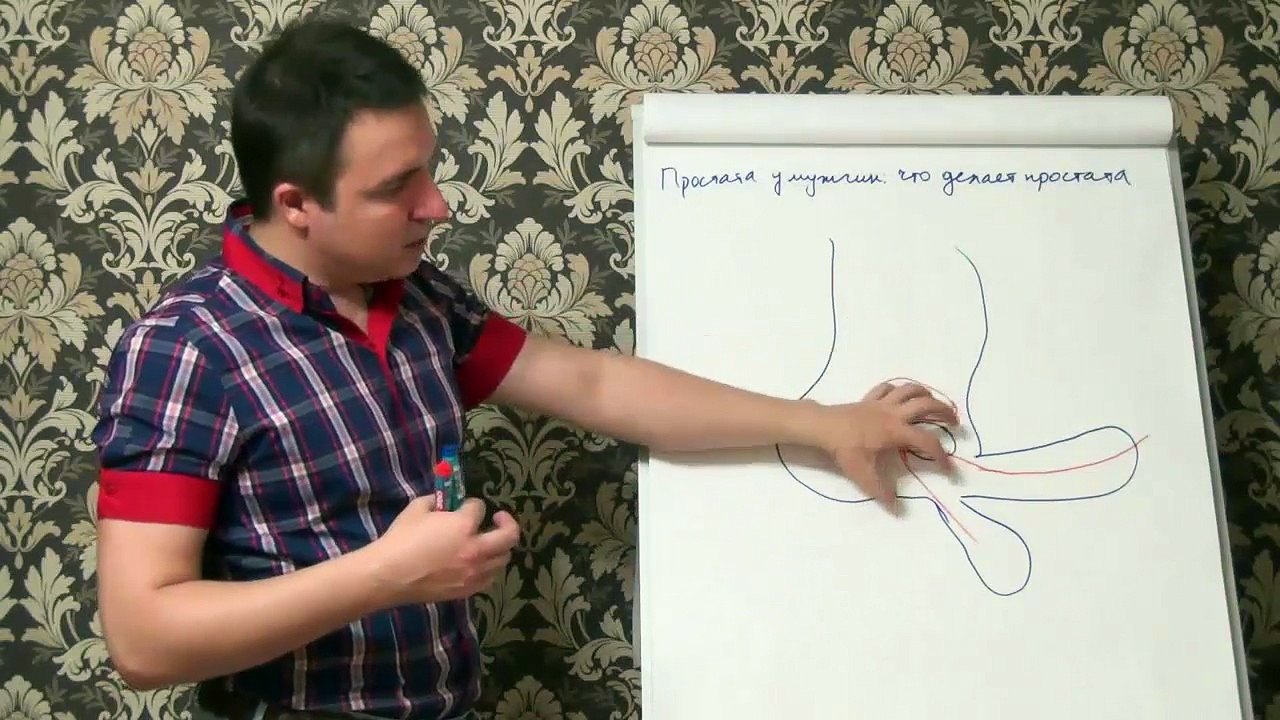 Евгений Грин — Простата у мужчин — что делает простата