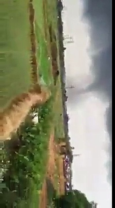 terrorstricken