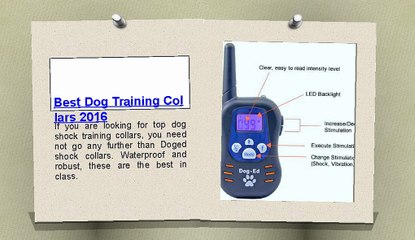 Best dog training collars 2016