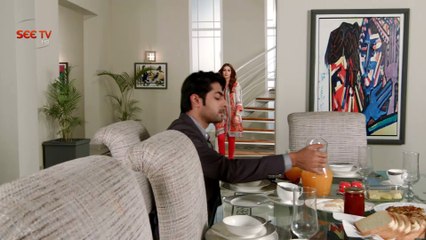 Apnay (Drama Serial) - Promo- 7 Sep,2016 - SEE TV