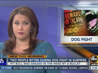 Two people bitten during dog fight in Surprise