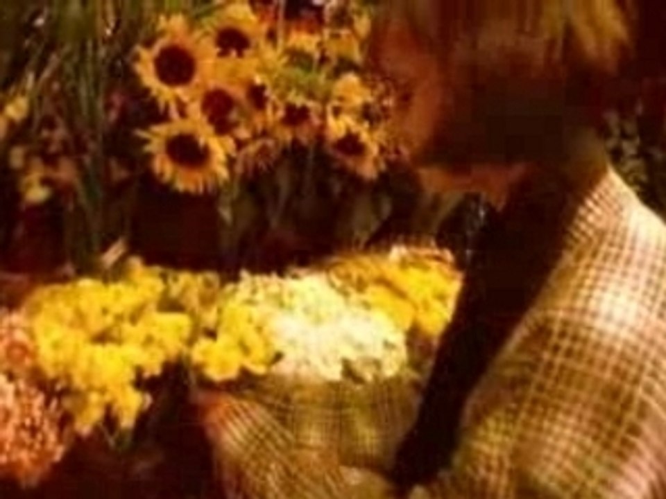 DJ.Bobo - Love Is All Around