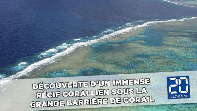 Découverte d'un immense récif corallien sous la Grande Barrière de corail