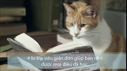 4 bí kíp siêu giản đơn giúp bạn nhớ được mọi điều đã học.