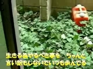 タマとその仲間たち（０９８）