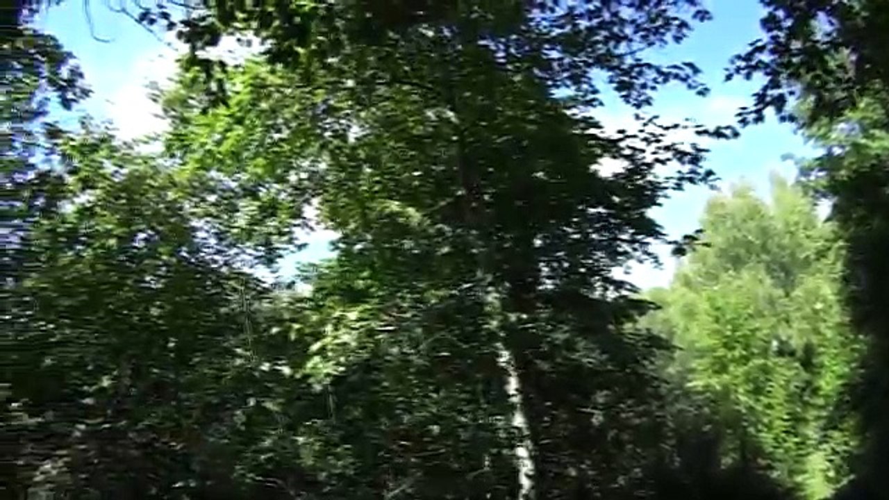 МОЛОДО-ЗЕЛЕНО