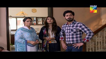 Haya Ke Daman Mein Eds 115 L    HUM TV Drama 7 Sep 2016