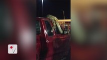 Scary Huge Snake Escapes Car and Creates Parking Lot Scare