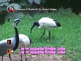 Chanson D'Emilie Et Du Grand Oiseau Karaoké - Émilie Jolie*