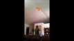Ce papa balance son fils pour attraper un ballon coincé au plafond... Pere indigne!!!