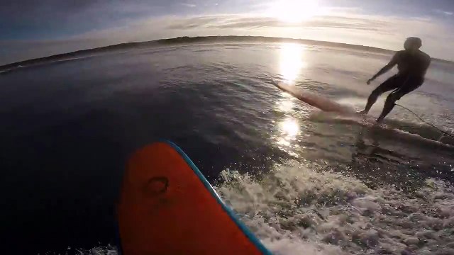 Quand un phoque s'incruste et grimpe sur la planche de ce surfeur