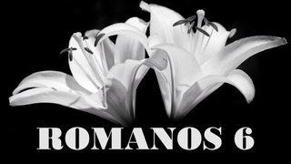 Romanos - 06