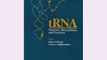 [PDF] Trna: Structure Biosynthesis and Function Popular Online