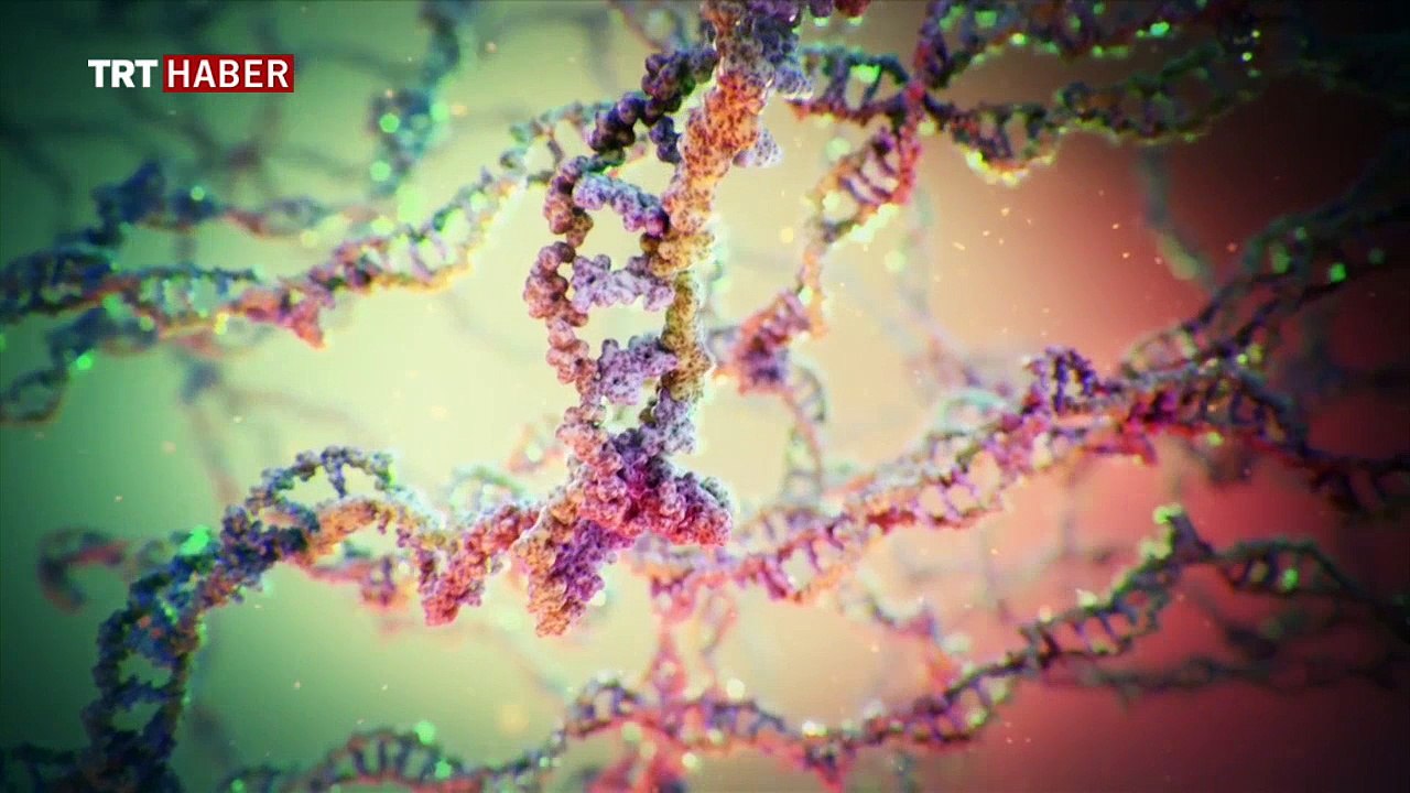 DNA nedir?