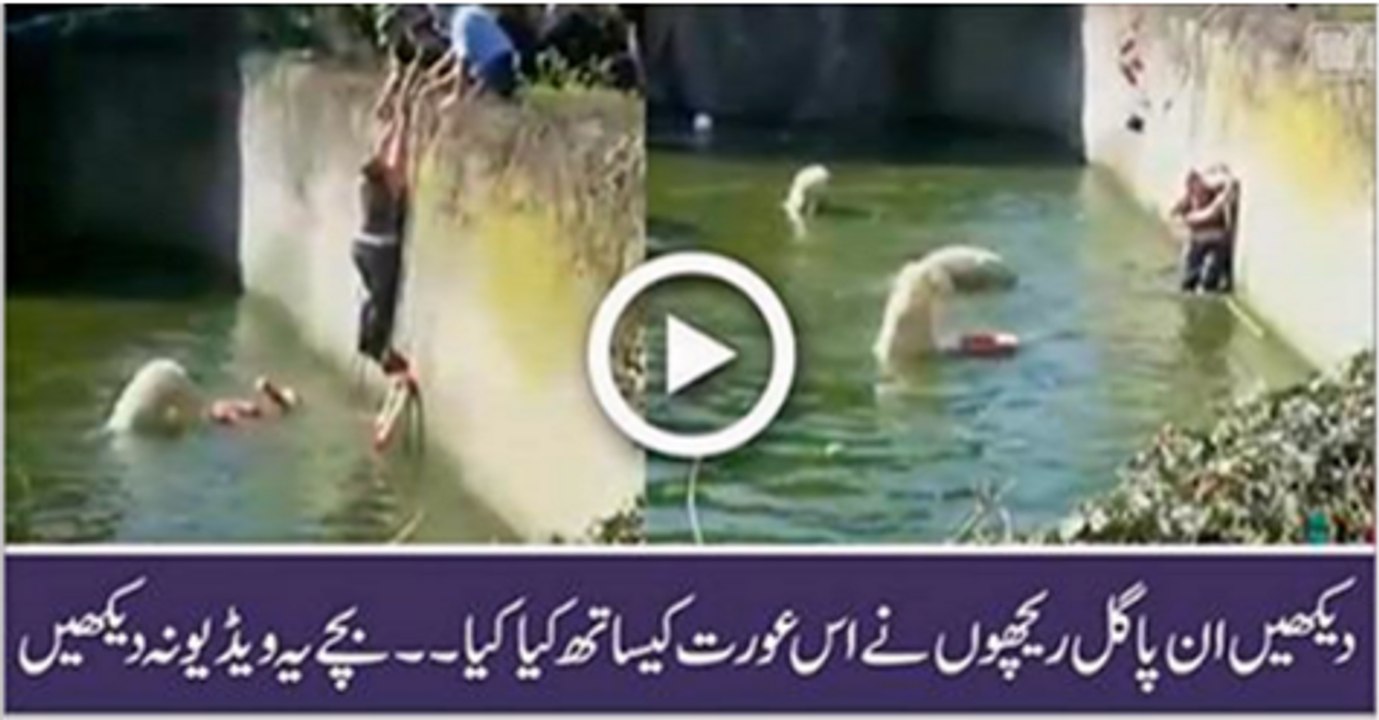 reech nmay hamla kr diya