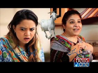 Eid-ul-Azha Special " Choti Ki Bari Eid"