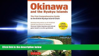 different   Okinawa and the Ryukyu Islands: The First Comprehensive Guide to the Entire Ryukyu