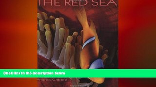 complete  The Red Sea