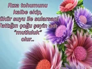 hani söz vermiştik alem-i ervah ta