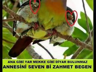 Dursun Ali ERZİNCANLI&Hasan KILIÇATAN~~Annem Annem