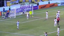 Gol de Neílton - Botafogo 1-0 Fluminense - Campeonato Brasileiro 2016