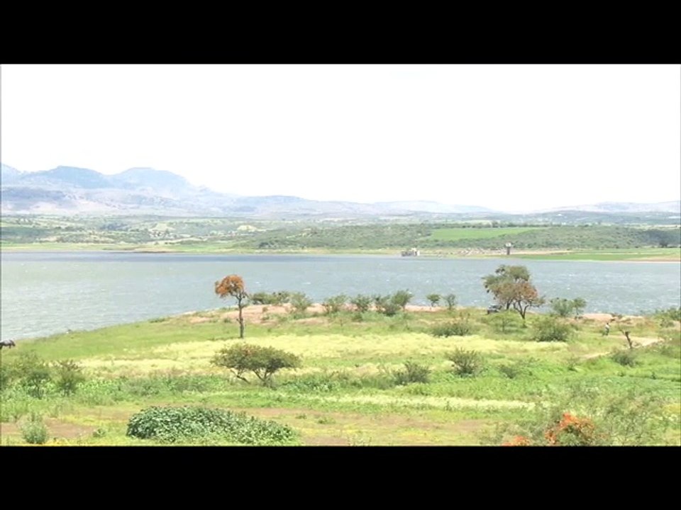 Presas y rios contaminados