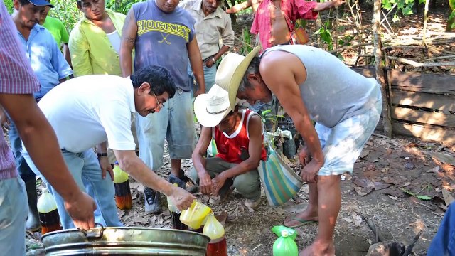 How Technology Helps Small Coffee Growers Build Their Own Brands | HP