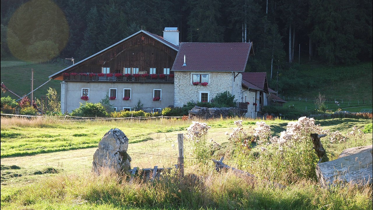 Ferme des Louisots : Un séjour au top !